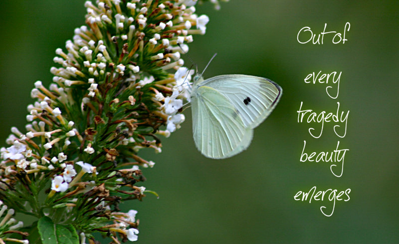 pizap.com10.41008598823100331376845905861