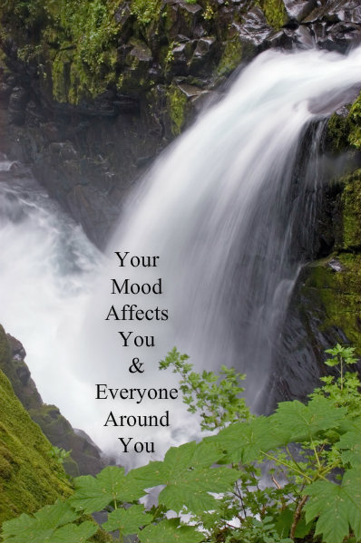 pizap.com10.413292998448014261373737680271