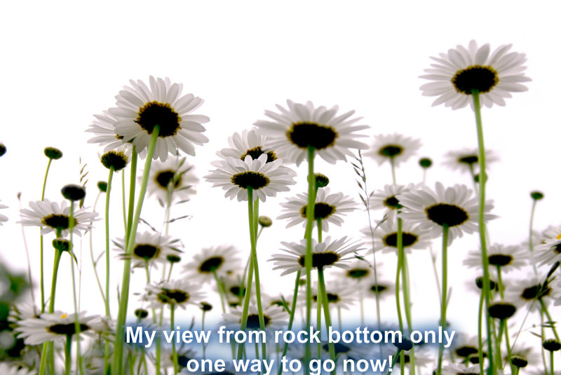 pizap.com10.42099118558689951372711646307