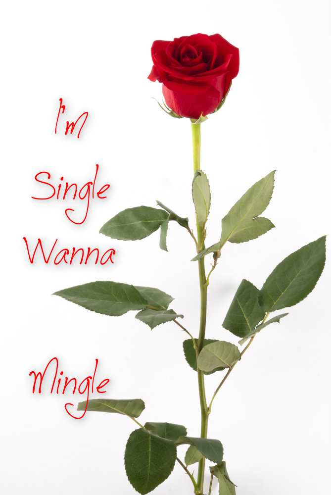 pizap.com10.421107138972729441375927831635