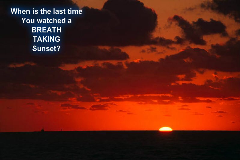 pizap.com10.42619576910510661373483866122