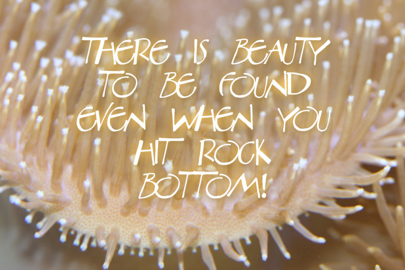 pizap.com10.42795162647962571375634837332