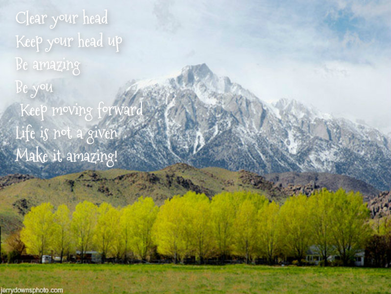 pizap.com10.434268153738230471374167993684