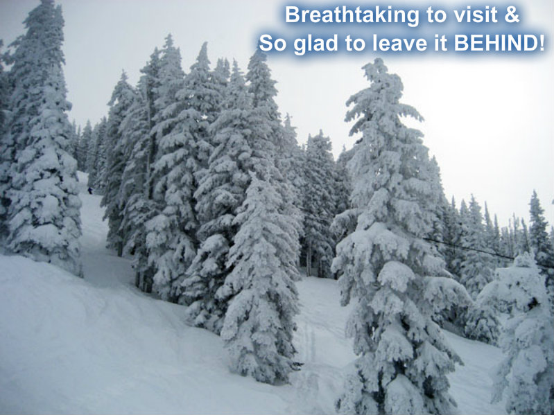 pizap.com10.44612163677811621373498771433