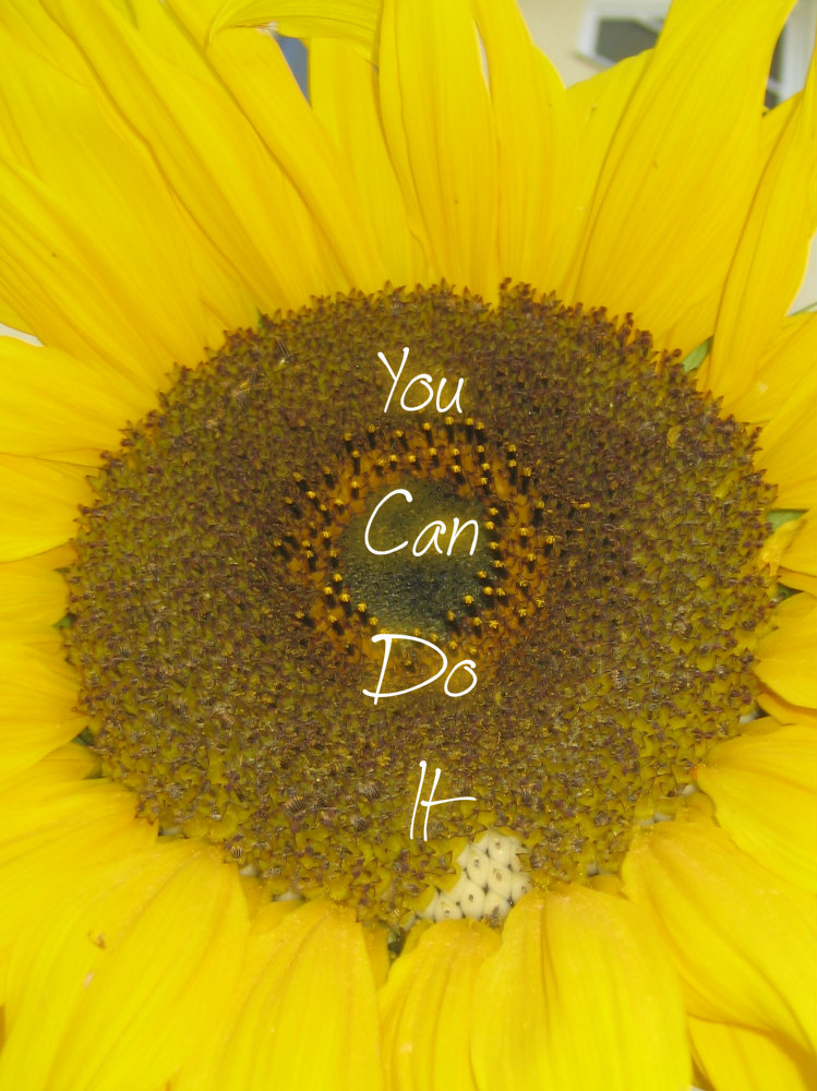 pizap.com10.4586678035557271375931587945