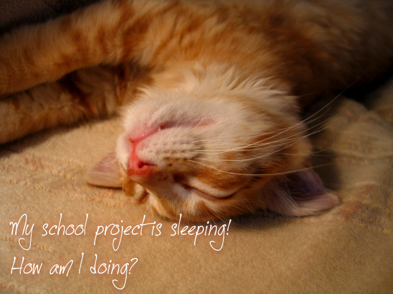 pizap.com10.45904829725623131377362637298