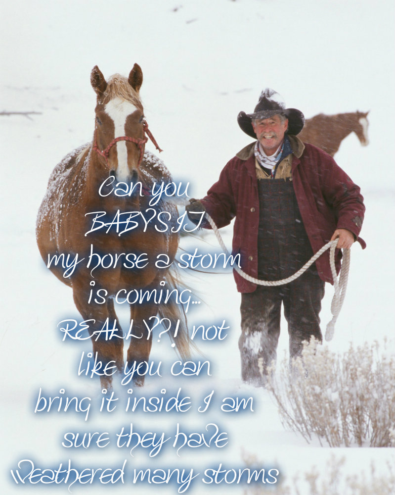 pizap.com10.467723193578422071373383984308