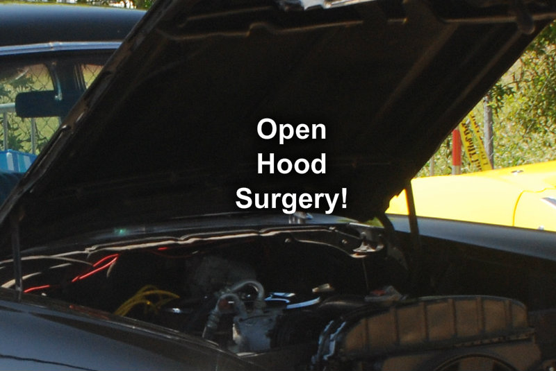 pizap.com10.46800695220008491374428389557