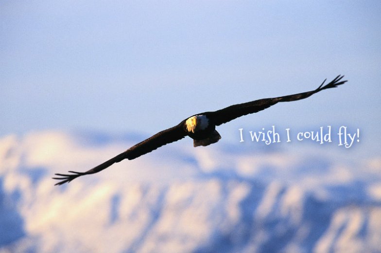 pizap.com10.4680382478982211373747373028