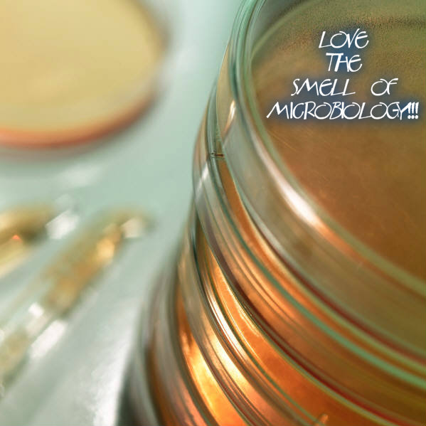 pizap.com10.469023867510259151373004409239