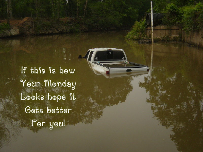 pizap.com10.479458623100072151375718994553