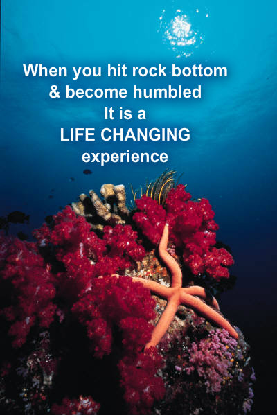 pizap.com10.486717330291867261373664909634