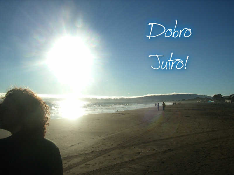 pizap.com10.486784712877124551375795530067