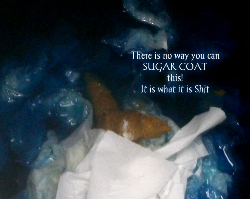 pizap.com10.48736201040446761373408998418