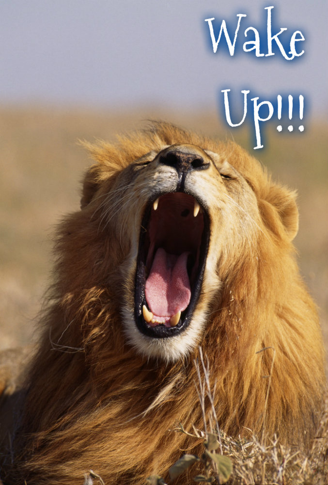 pizap.com10.490356090478599071373230892964