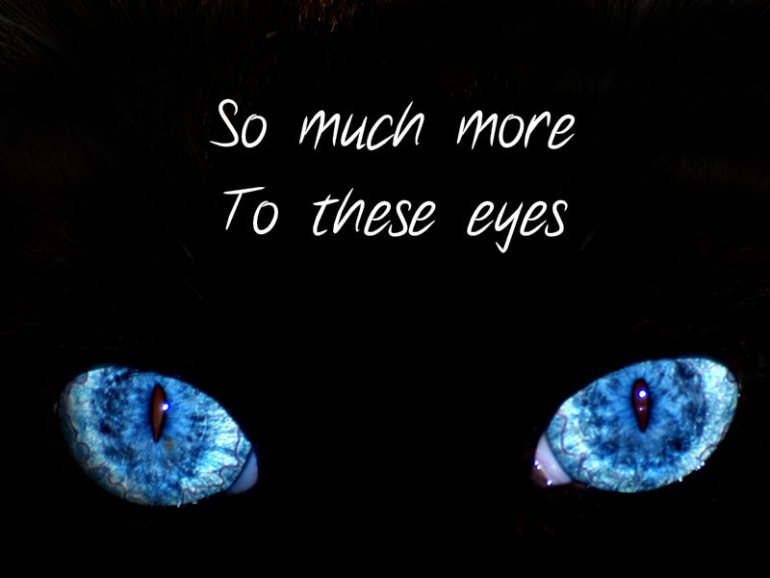 pizap.com10.494873492978513241375635813305