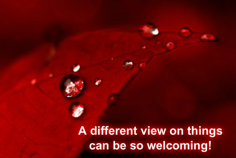 pizap.com10.50227297656238081379718502342