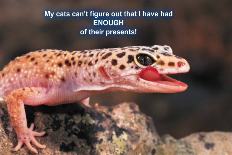 pizap.com10.50664495164528491373642057108