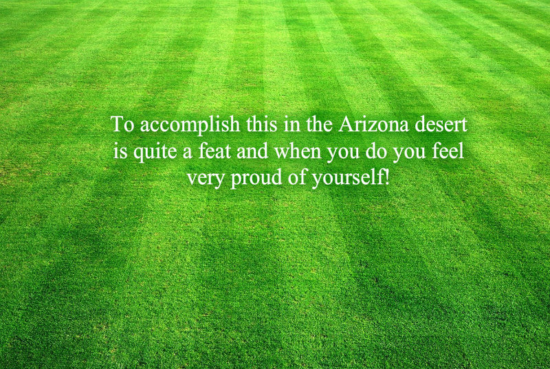 pizap.com10.50934736989438531379519394554