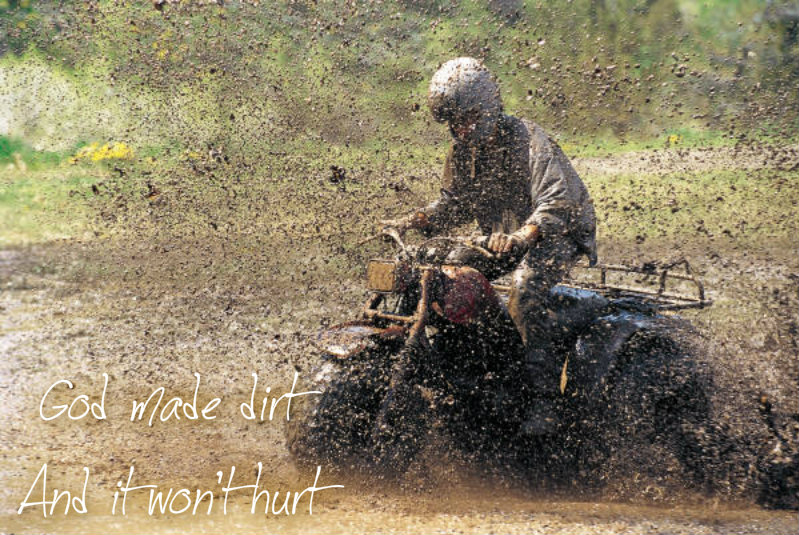 pizap.com10.5231216433458031374382737611