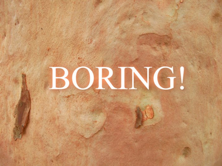 pizap.com10.53078147303313021376534669660