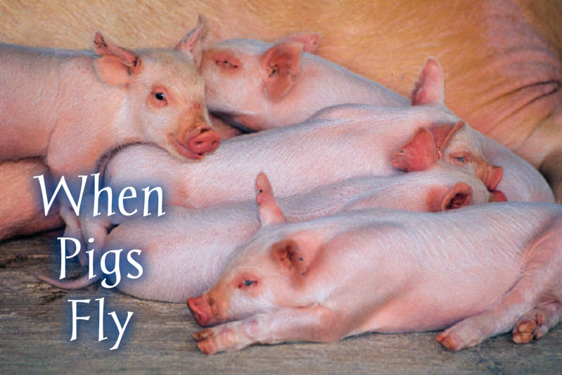 pizap.com10.53265992179512981373334672204