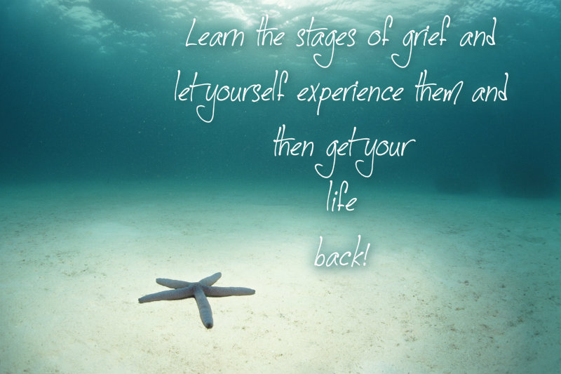 pizap.com10.53927587438374761376502883513