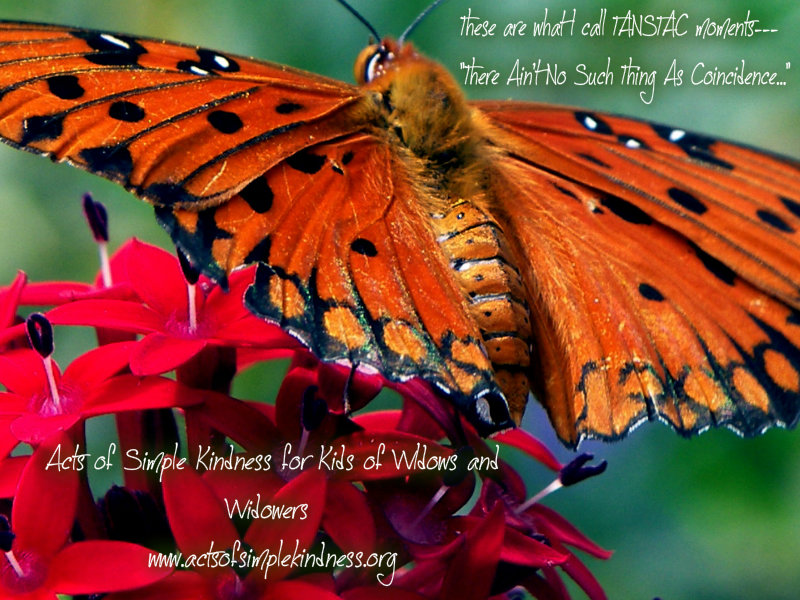 pizap.com10.55179230868816381375309886245