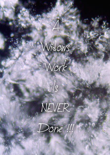 pizap.com10.56704217614606021375925311271