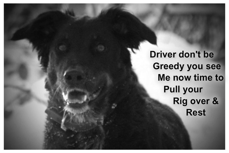 pizap.com10.56717075360938911374427631043