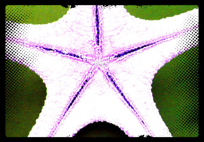 pizap.com10.57328096358105541373904126607