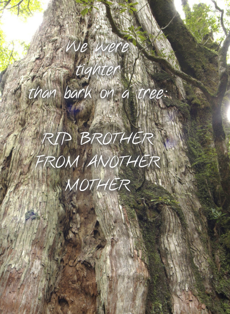 pizap.com10.57650624308735131374424078327