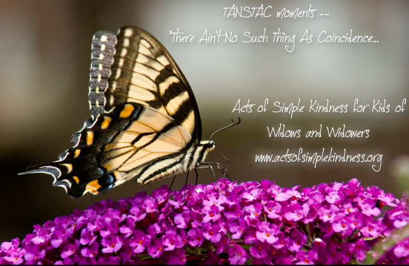 pizap.com10.58433531736955051375371975624