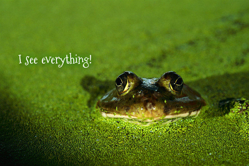 pizap.com10.58526697056367991375140437326