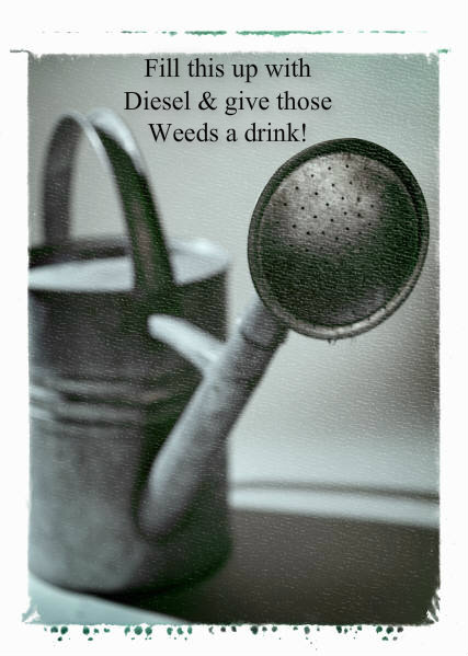 pizap.com10.59665194386616351374446925590