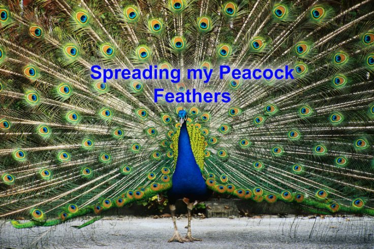 pizap.com10.60340621881186961373486025645