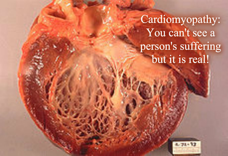 pizap.com10.61702504847198721379703440031