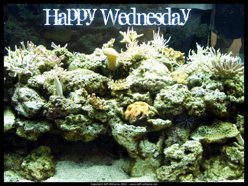 pizap.com10.62704511312767861375895438533