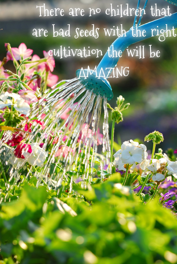 pizap.com10.63340336969122291373644055623