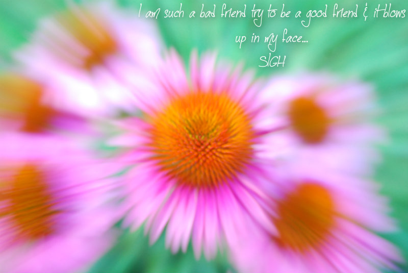 pizap.com10.63811071123927831377363750552