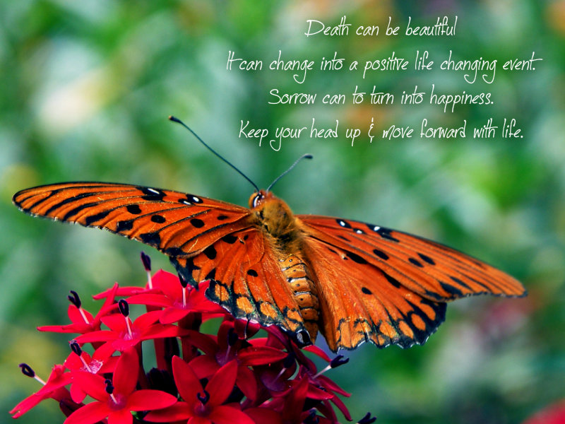 pizap.com10.64419360132887961375371627504