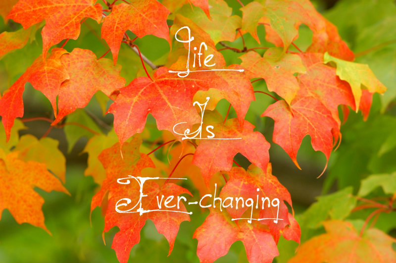 pizap.com10.65034784562885761374353061409