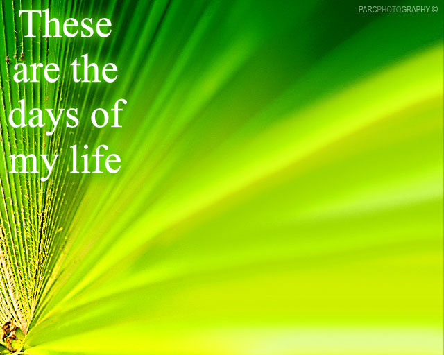 pizap.com10.65431205183267591379706982457