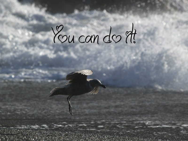 pizap.com10.65917953290045261375925772723