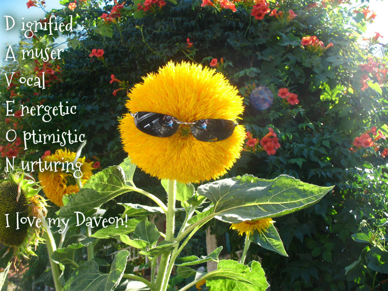 pizap.com10.67837776383385061376932375350