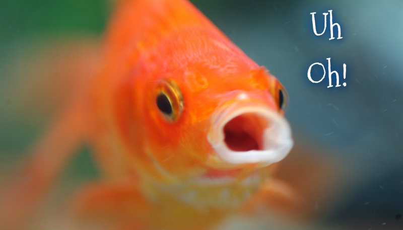 pizap.com10.68737378017976881373507861690