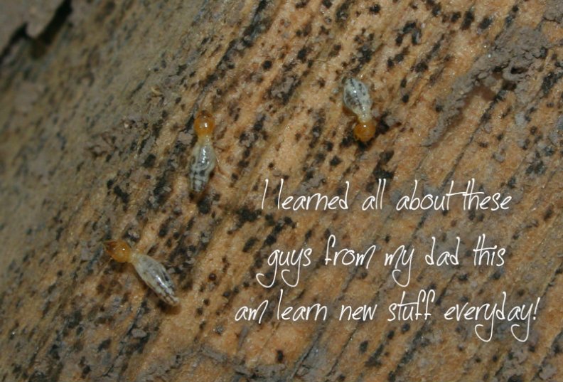 pizap.com10.70473528420552611377451470917