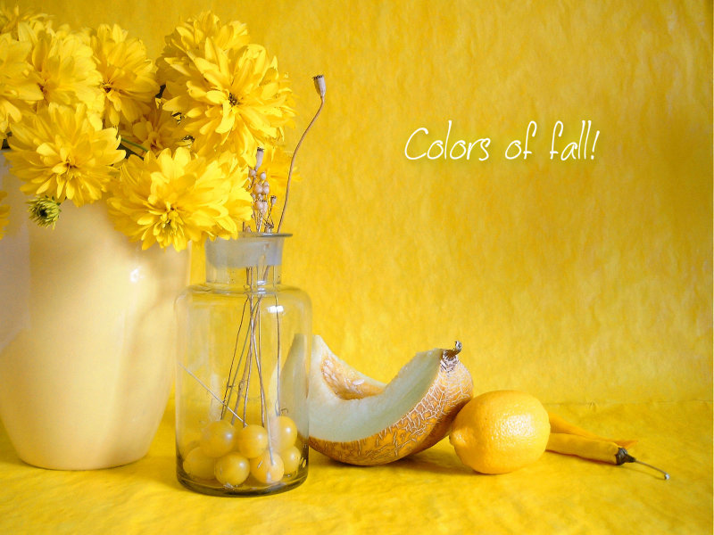 pizap.com10.7052533258683981376840231370