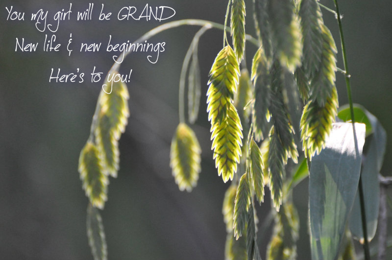 pizap.com10.70841251080855731375932377673