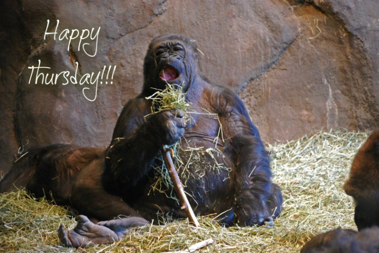 pizap.com10.72274633077904581375970479411